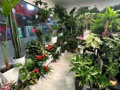 -怡花宜木鲜花店(朝阳路店)