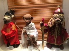 -济州岛泰迪熊博物馆