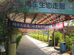 -天下先生态园农庄CS团建露营地(海鸥岛店)