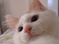 -宠颐生中康贝怡动物医院