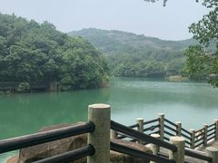 -白马涧龙池景区