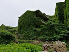 -枸杞岛