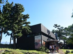 门面-济州岛泰迪熊博物馆