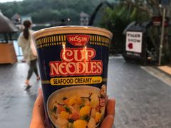 餐饮设施-清迈夜间动物园