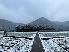 -八卦田遗址公园