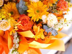 -花生FM_FLOWERS