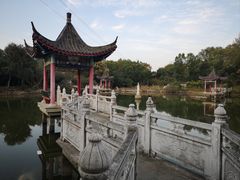 -青龙山国家森林公园