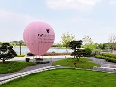 -东方美谷JW万豪酒店·The lounge大堂吧