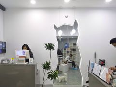 -极木²邸 人与宠物·互动社区