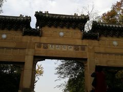 -灵谷景区
