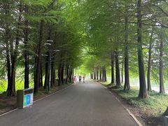 -石湖景区