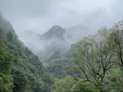 -水墨汀溪风景区