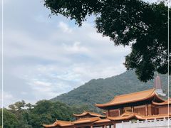 -深圳仙湖植物园