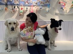 -汪说·狗咖·拼豆·宠物周边DIY(旺城大厦店)