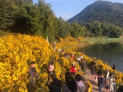 -广州市石门国家森林公园