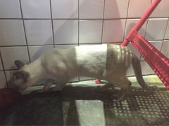 -MIKAKU(万达广场上海宝山店)