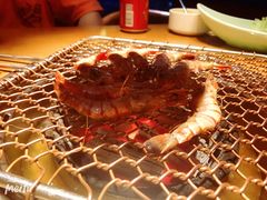 阿根廷虾-老炉家木炭烤肉(长江国际店)