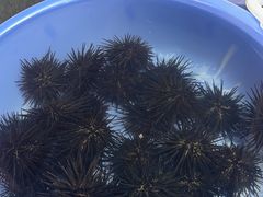 -花乐餐厅(涠洲岛店)