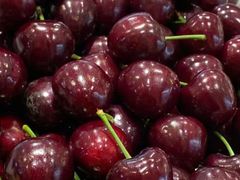 -东方鼎信农副产品交易中心