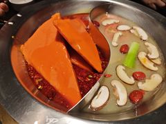 -蜀九香火锅(彩虹店)