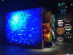 -沈阳海洋探索中心