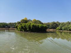 -大湾区中央湿地公园