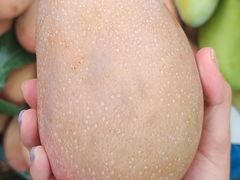 -三亚新鸿港水果一级批发市场