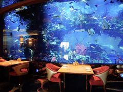 -迪拜帆船酒店海底餐厅