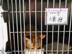 -宠爱国际动物医院·疑难骨科·心肾内科·皮肤科(太阳宫店)