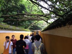 -普陀山慧济禅寺