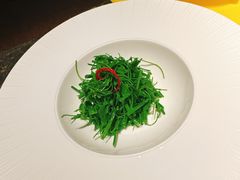 玉琅玕-觀芷隐轩