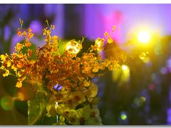 -北京西国贸大酒店