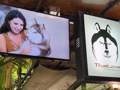 -TrueLove @ Neverland (Husky Cafe)