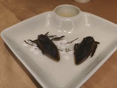 -了能菜·传统特色粤菜·虫宴