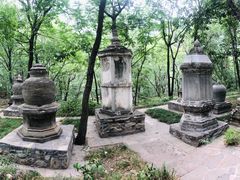 -北京上方山国家森林公园