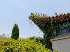 -青岛崂山太清宫