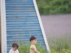 -北京市府学胡同小学