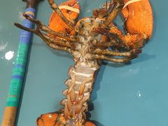 -79号渔船海鲜饭店(岗厦店)