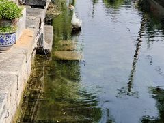 -济南大明湖景区
