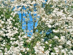 -北京市劳动人民文化宫