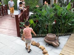 -顺德了能馆(虎门店)