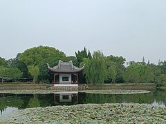 -无锡蠡湖国家湿地公园-蠡园