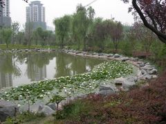 -木塔寺遗址生态公园