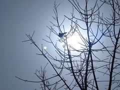 -马栏河运动公园