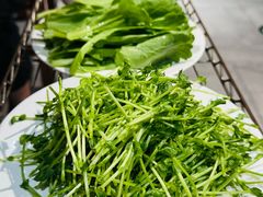 -友乐居羊蝎子(西直门店)