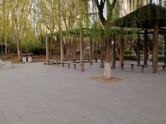 -望湖公园