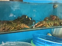 -渔满仓海鲜楼