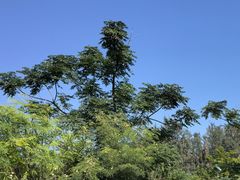-硇洲岛旅游区