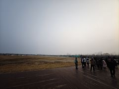 -盐城丹顶鹤湿地生态旅游区