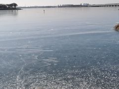 -丁香湖公园